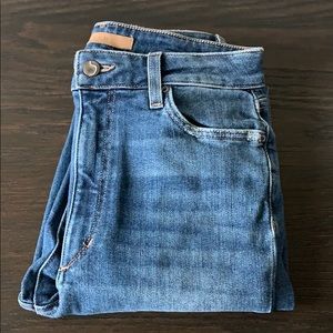 Joe’s Ripped Skinny Jean